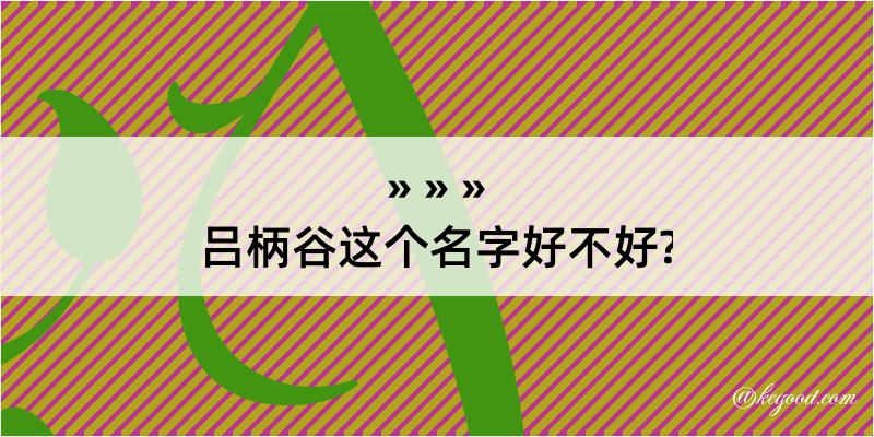 吕柄谷这个名字好不好?