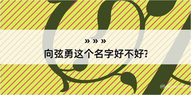 向弦勇这个名字好不好?