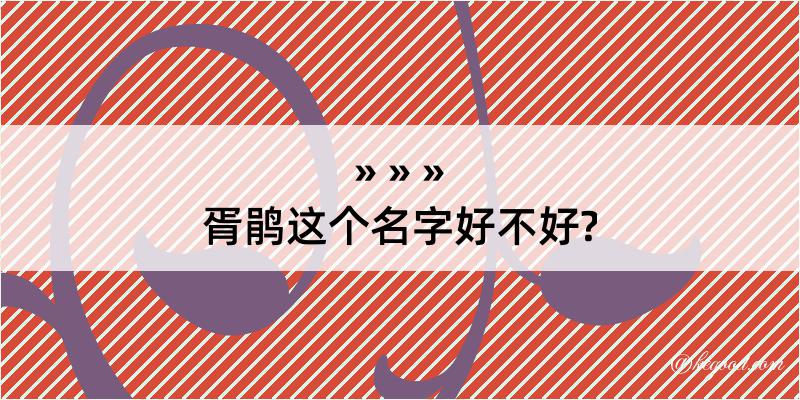 胥鹃这个名字好不好?