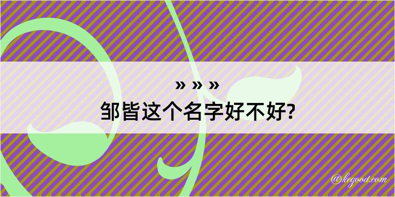 邹皆这个名字好不好?