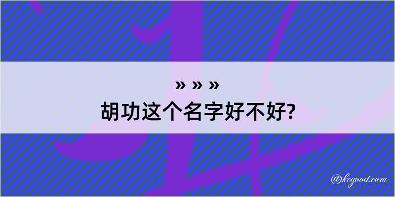 胡功这个名字好不好?