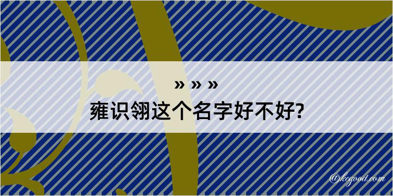 雍识翎这个名字好不好?