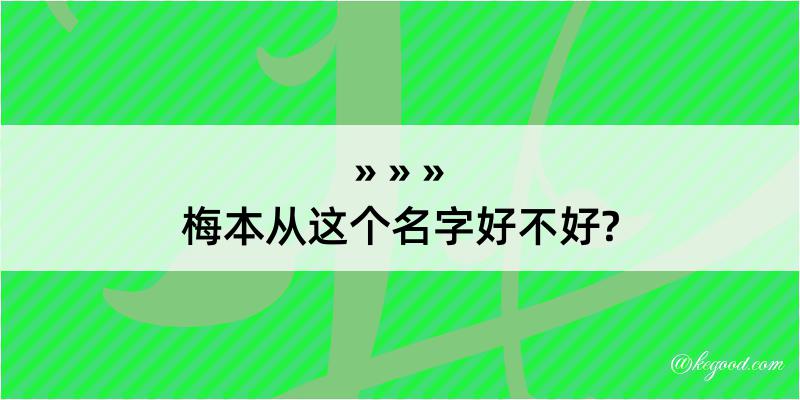 梅本从这个名字好不好?