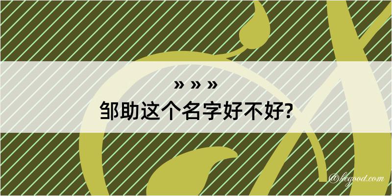 邹助这个名字好不好?