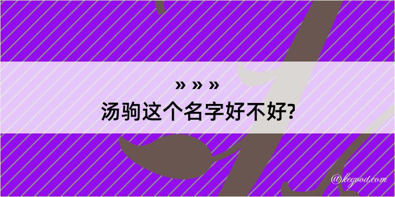 汤驹这个名字好不好?