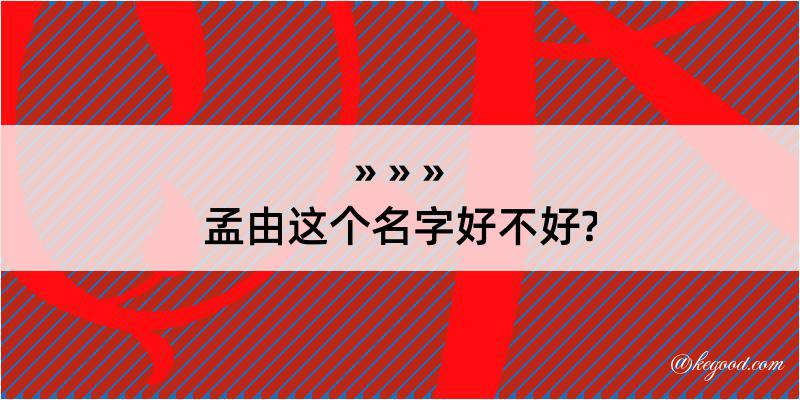 孟由这个名字好不好?