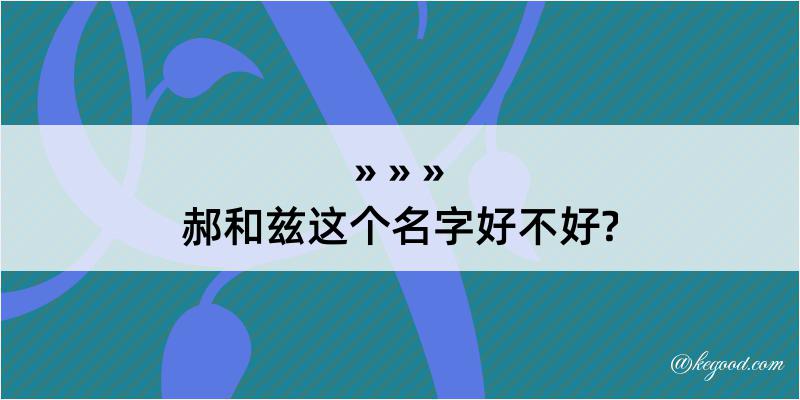 郝和兹这个名字好不好?