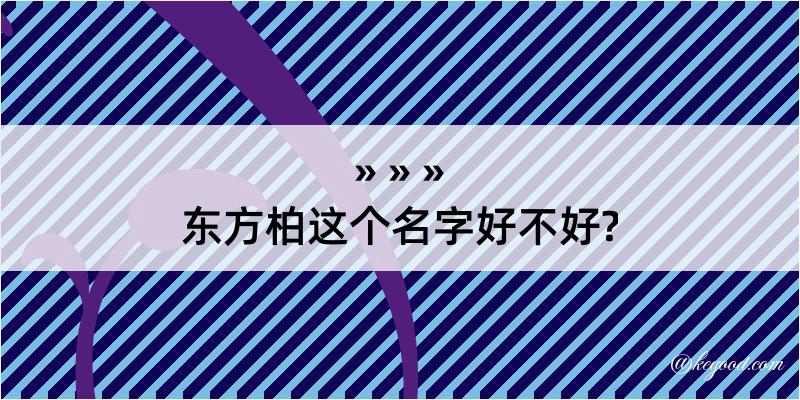 东方柏这个名字好不好?