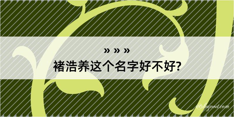 褚浩养这个名字好不好?