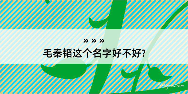 毛秦韬这个名字好不好?