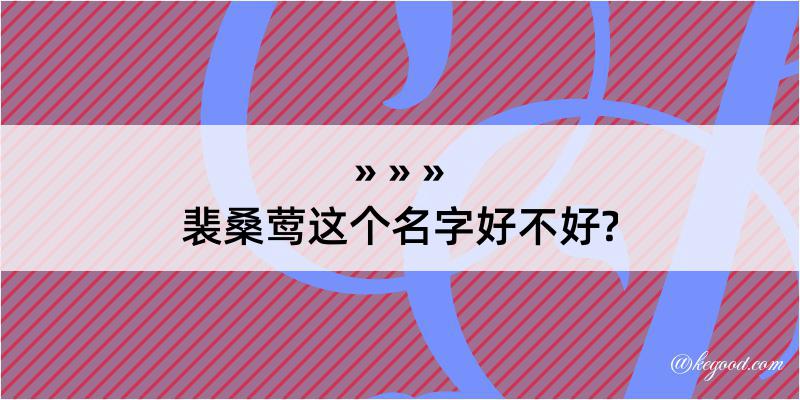 裴桑莺这个名字好不好?