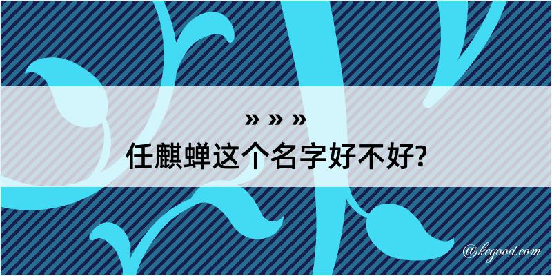 任麒蝉这个名字好不好?