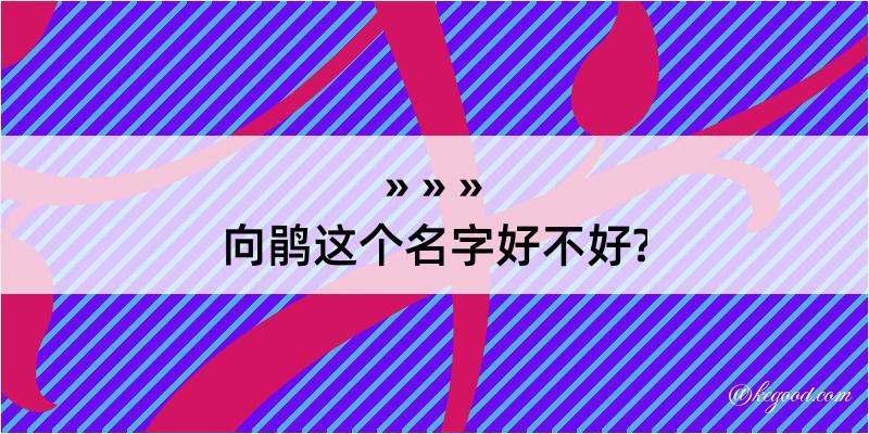 向鹃这个名字好不好?