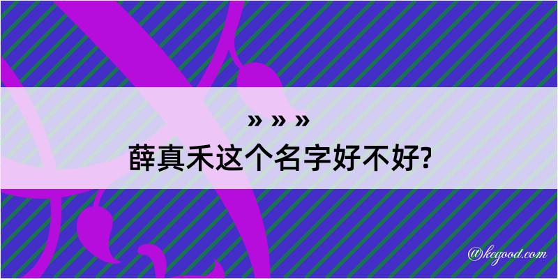 薛真禾这个名字好不好?