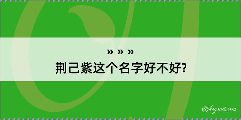 荆己紫这个名字好不好?