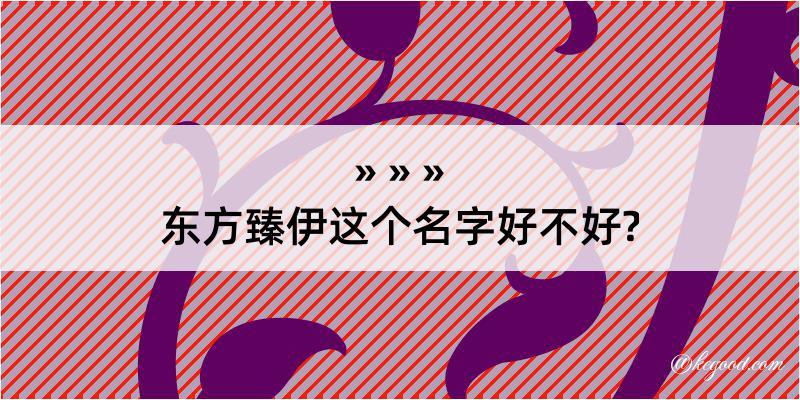 东方臻伊这个名字好不好?