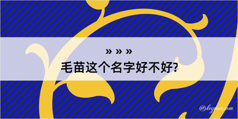 毛苗这个名字好不好?