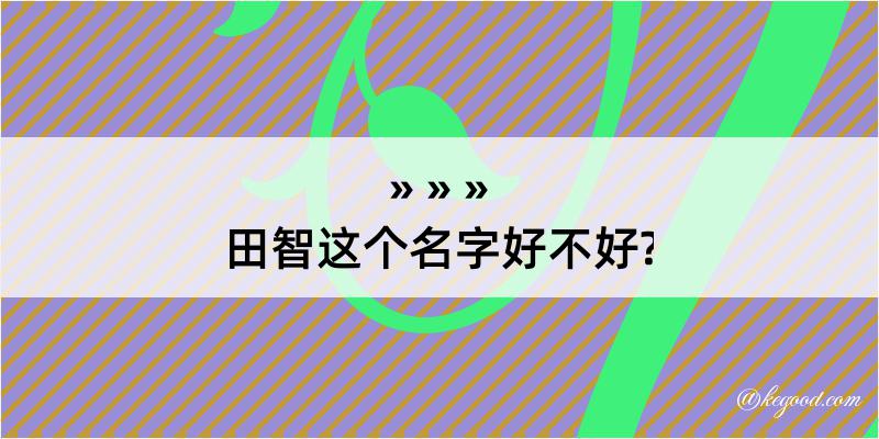 田智这个名字好不好?