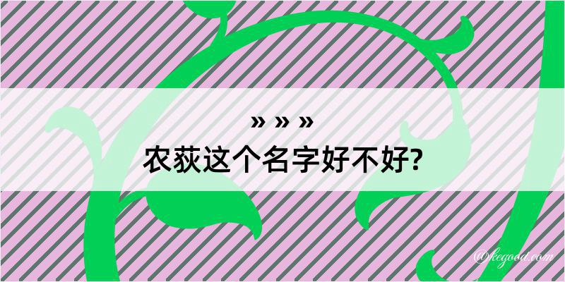 农荻这个名字好不好?