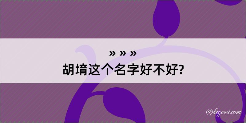 胡堉这个名字好不好?