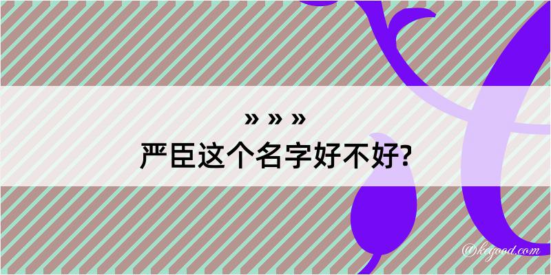 严臣这个名字好不好?