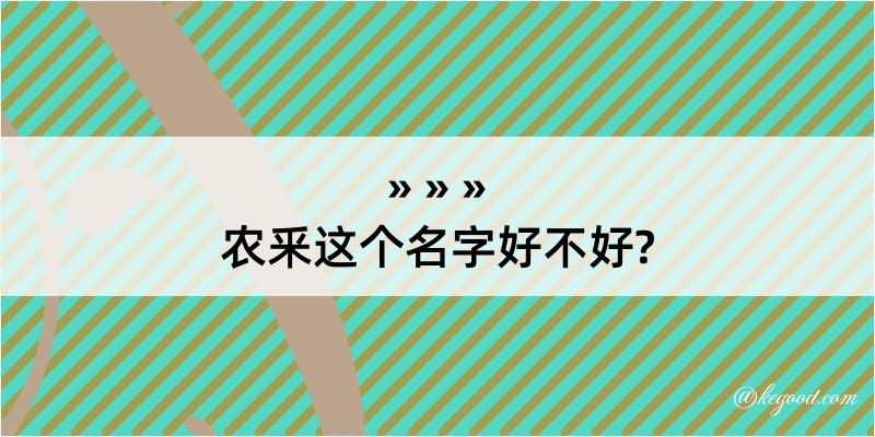 农釆这个名字好不好?