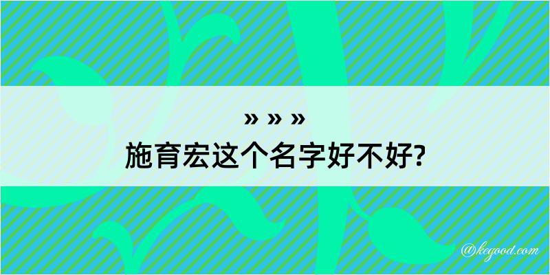 施育宏这个名字好不好?