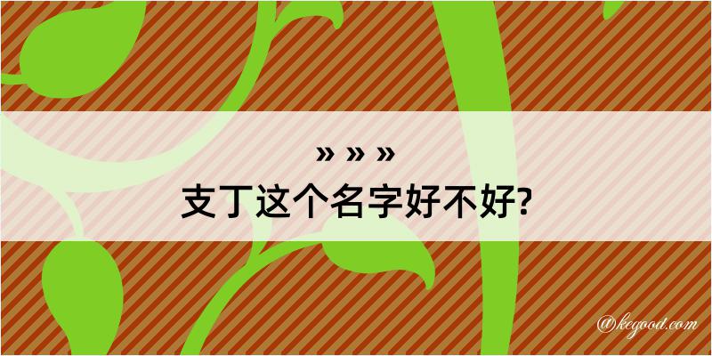 支丁这个名字好不好?