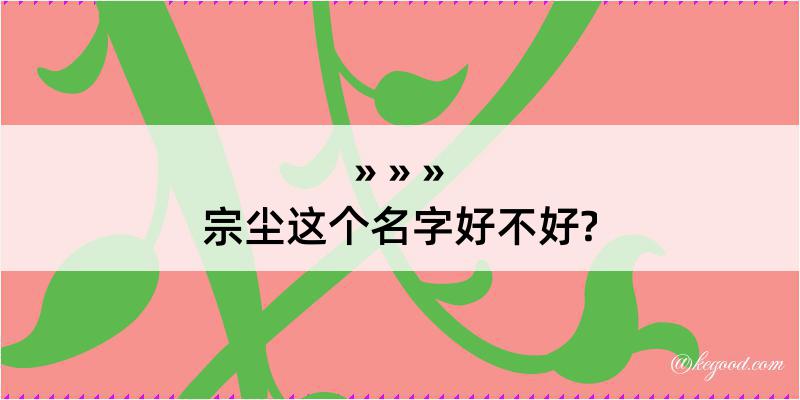 宗尘这个名字好不好?