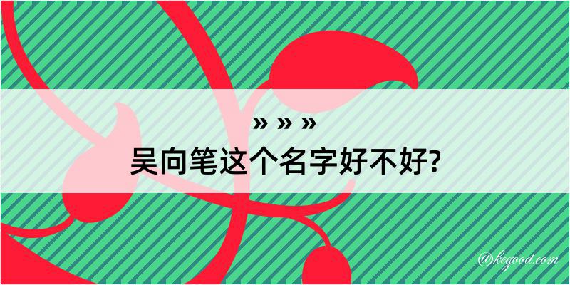 吴向笔这个名字好不好?