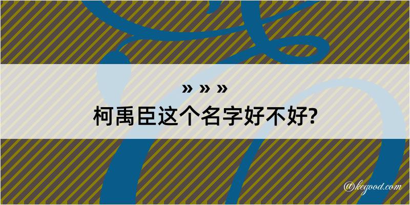 柯禹臣这个名字好不好?