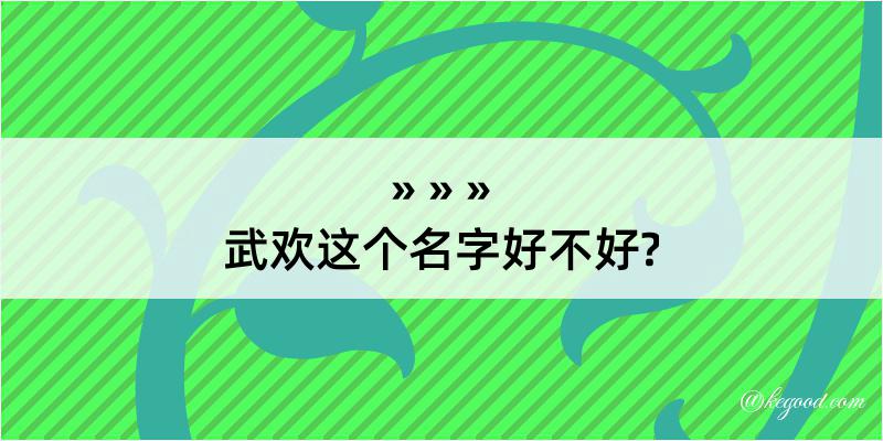 武欢这个名字好不好?