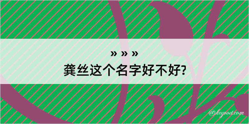 龚丝这个名字好不好?