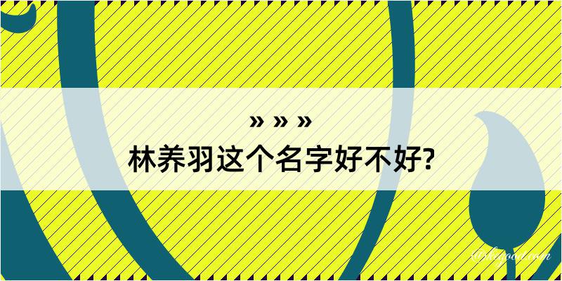 林养羽这个名字好不好?