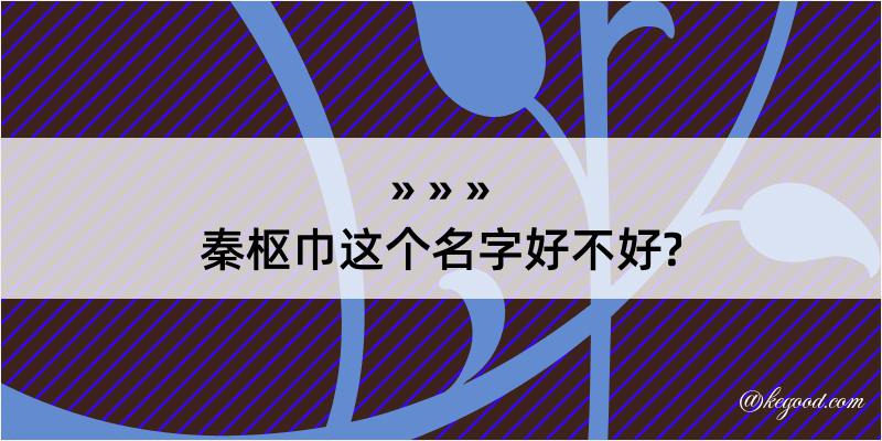 秦枢巾这个名字好不好?