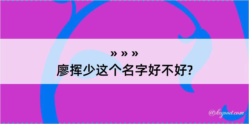 廖挥少这个名字好不好?