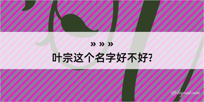 叶宗这个名字好不好?