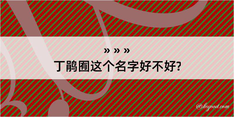 丁鹃囿这个名字好不好?