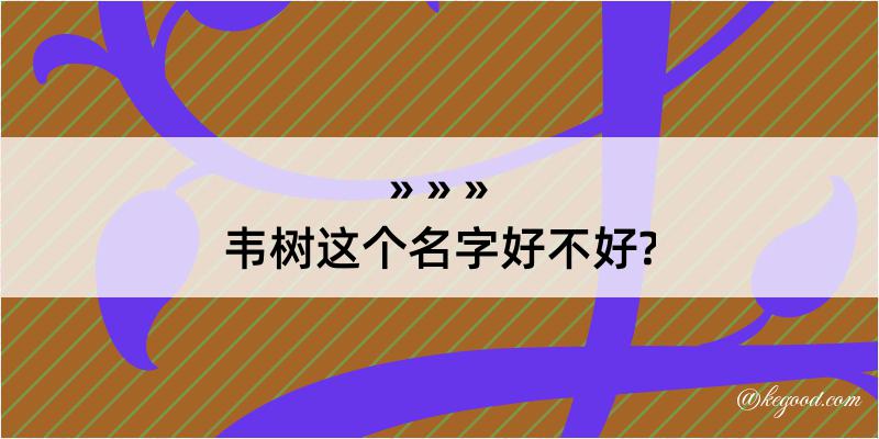 韦树这个名字好不好?