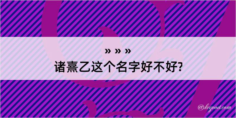 诸熹乙这个名字好不好?