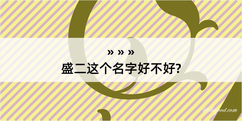 盛二这个名字好不好?