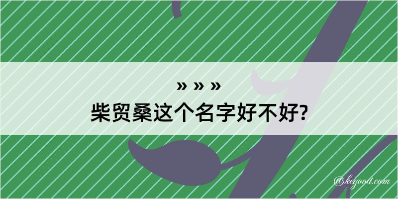 柴贸桑这个名字好不好?