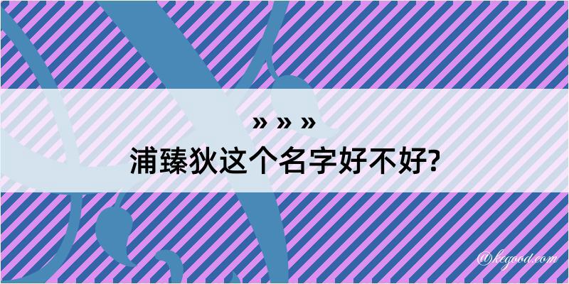 浦臻狄这个名字好不好?