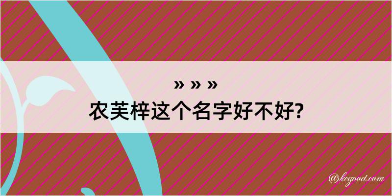 农芙梓这个名字好不好?