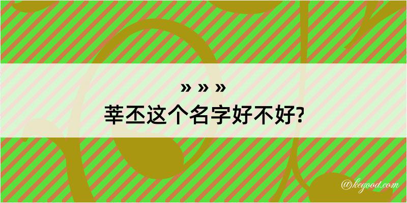 莘丕这个名字好不好?