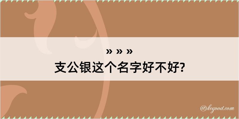 支公银这个名字好不好?