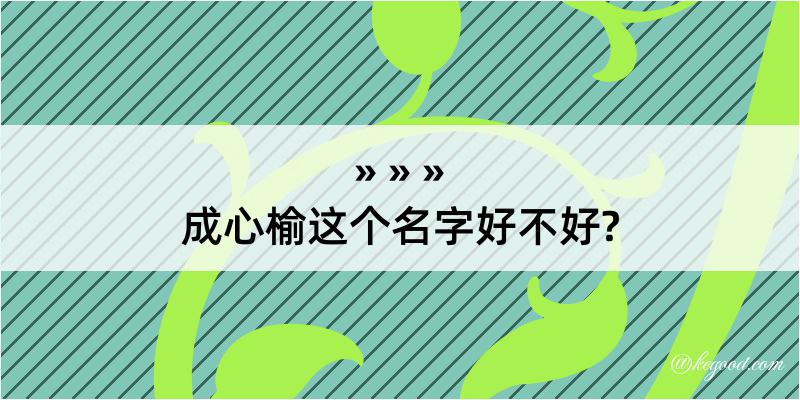 成心榆这个名字好不好?