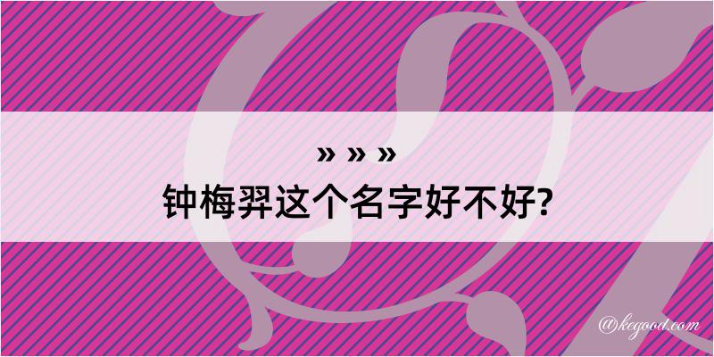 钟梅羿这个名字好不好?