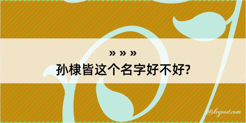 孙棣皆这个名字好不好?