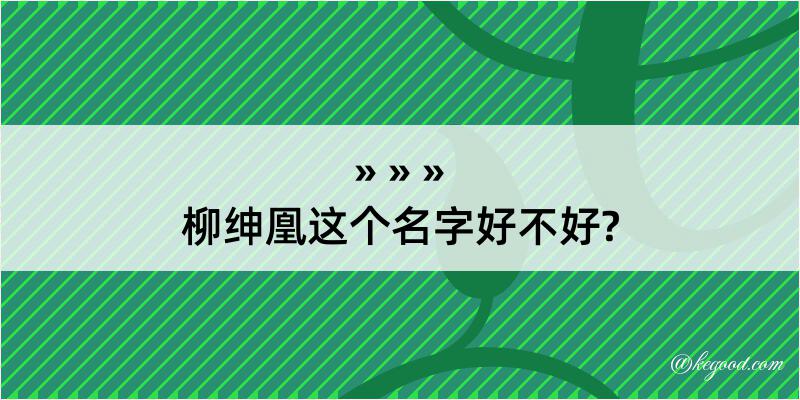 柳绅凰这个名字好不好?